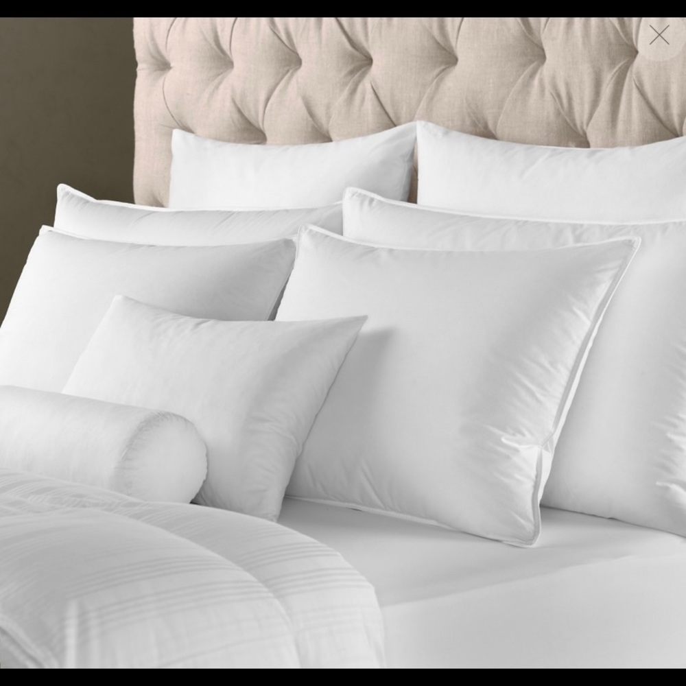 Restoration Hardware European Down Comforter.   Full/Queen
